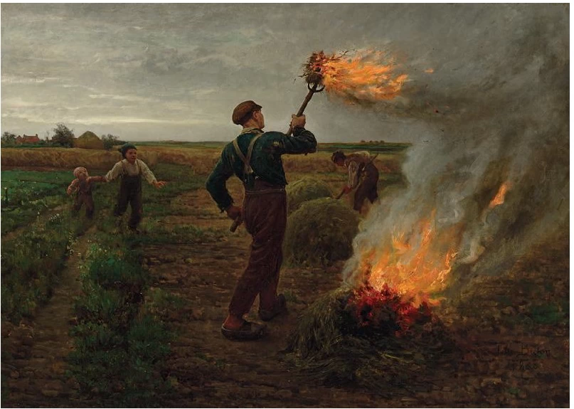 Erbacce, 1867